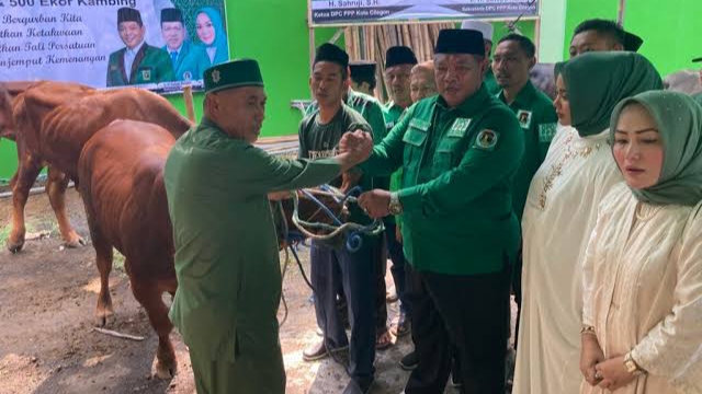 Momen Idul Adha 1444 H, PPP Cilegon Bagikan 535 Hewan Kurban Untuk Masyarakat