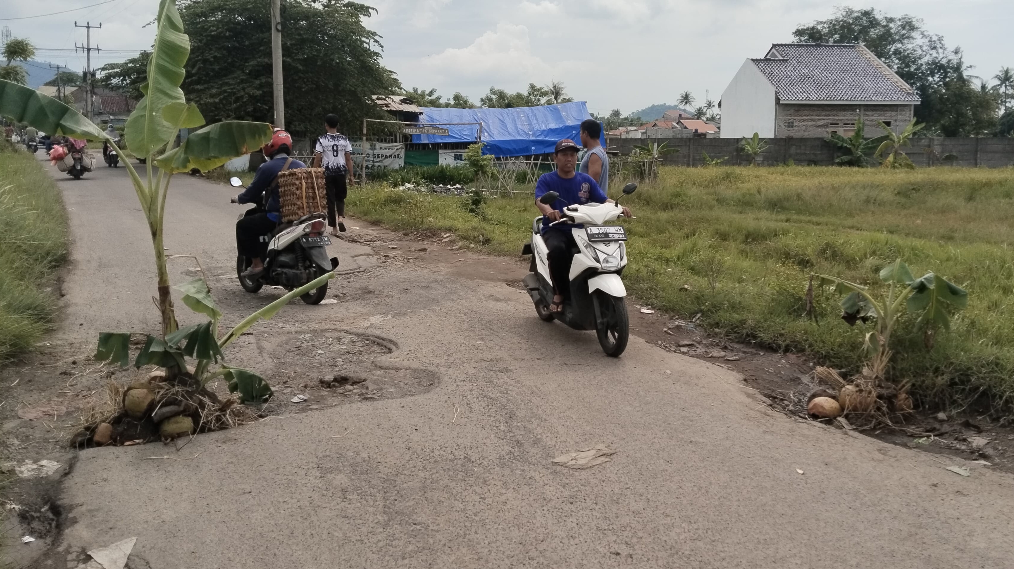 Akses Jalan Rusak dan Berlubang, Warga: Tanamin Pohon Pisang