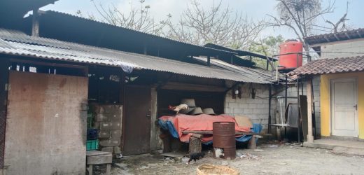Pabrik Tahu dan Kandang Sapi di Cilegon Diduga Cemari Lingkungan, Warga Desak Penutupan